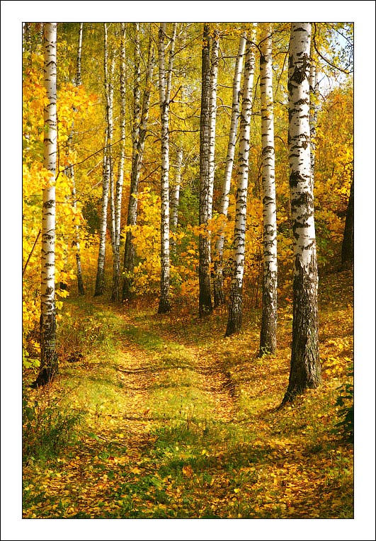 ����� 2009, ����� ����, autumn 2009