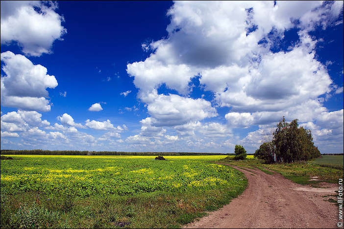 bfoto_ru_4003.jpg