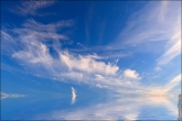 sky for suspended ceilings ����