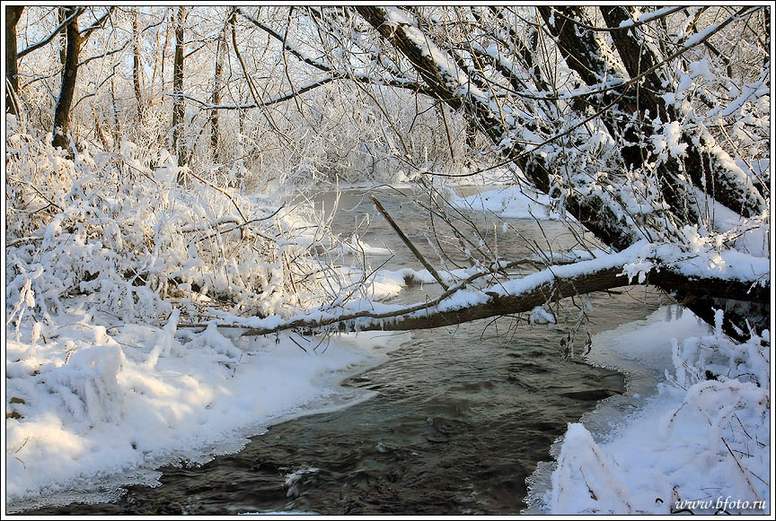 ������� ���� � ����� 25 ������, winter landscape photo