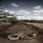  World Press Photo 2009