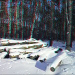 3d_foto_anaglif_8