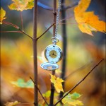 Aleksey Stroganov http://www.BFoto.ru