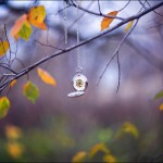 Aleksey Stroganov http://www.BFoto.ru