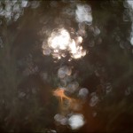 Aleksey Stroganov http://www.BFoto.ru