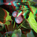 IMG_3143