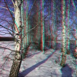 IMG_3155