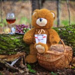 Aleksey Stroganov http://www.BFoto.ru