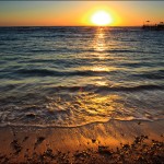 egypet_red_sea_2009 egypet_red_sea_2009