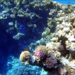 egypet_red_sea_2022 egypet_red_sea_2022