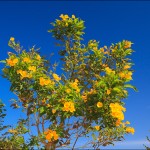 egypet_red_sea_2034 egypet_red_sea_2034