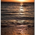 egypet_red_sea_2052 egypet_red_sea_2052