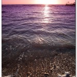 egypet_red_sea_2053 egypet_red_sea_2053