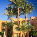 egypet_red_sea_2054 egypet_red_sea_2054