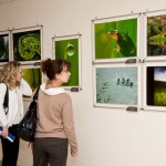 фотоконкурс 2012