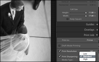 Lightroom 2 зафиналило