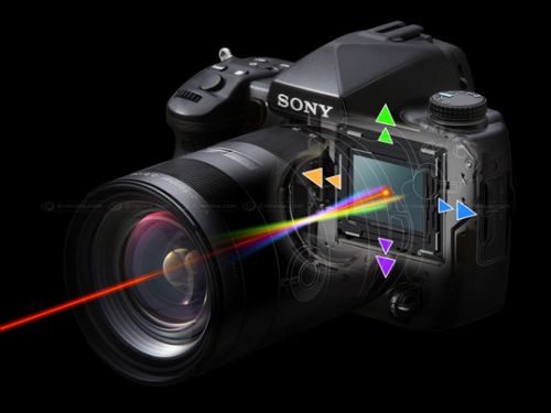 Sony A900! Полноформатная камера с 24 мегапикселями!